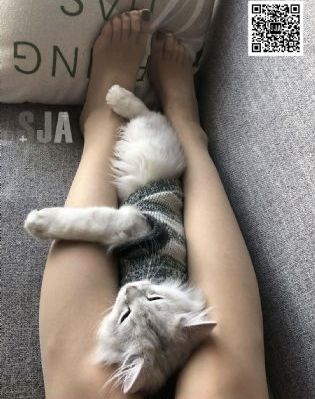 久久福利av_剧情片在线视频播放